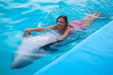 swim with dolphins near me.